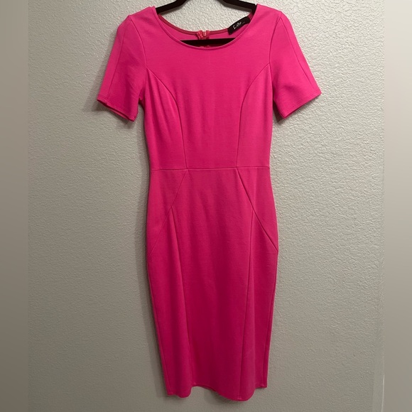 Pink Bodycon Dress - Picture 4 of 4